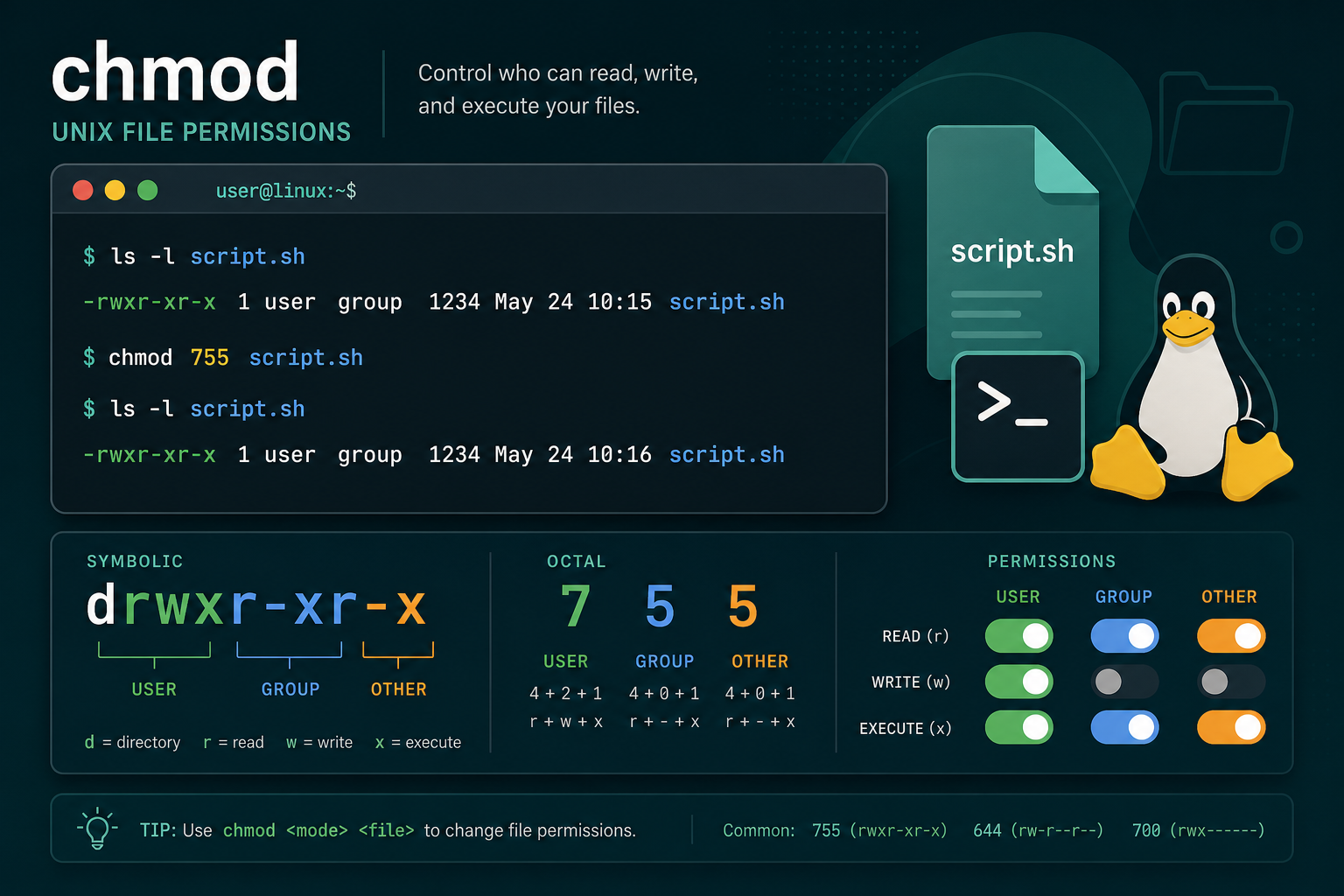 Terminal-style illustration of Unix/Linux file permissions showing rwx toggles and octal chmod values.
